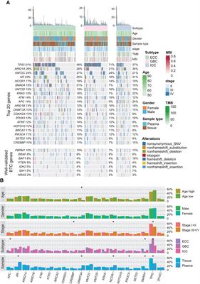 Comprehensive germline and somatic genomic profiles of Chinese patients with biliary tract cancer